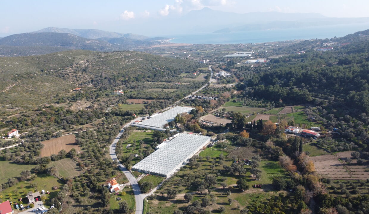 DCIM100MEDIADJI_0138.JPG