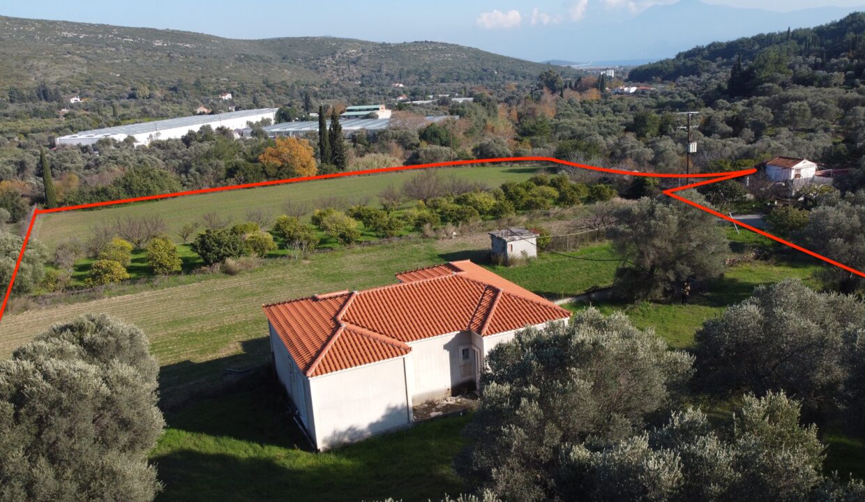 DCIM100MEDIADJI_0146.JPG