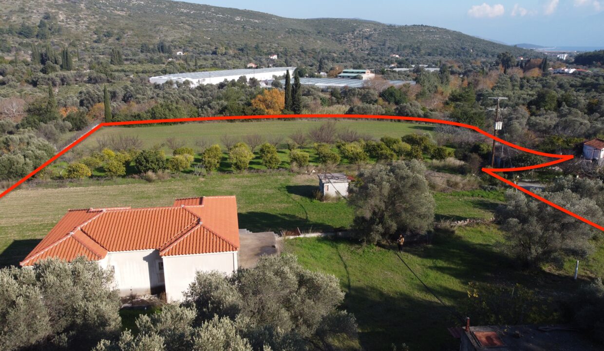 DCIM100MEDIADJI_0147.JPG