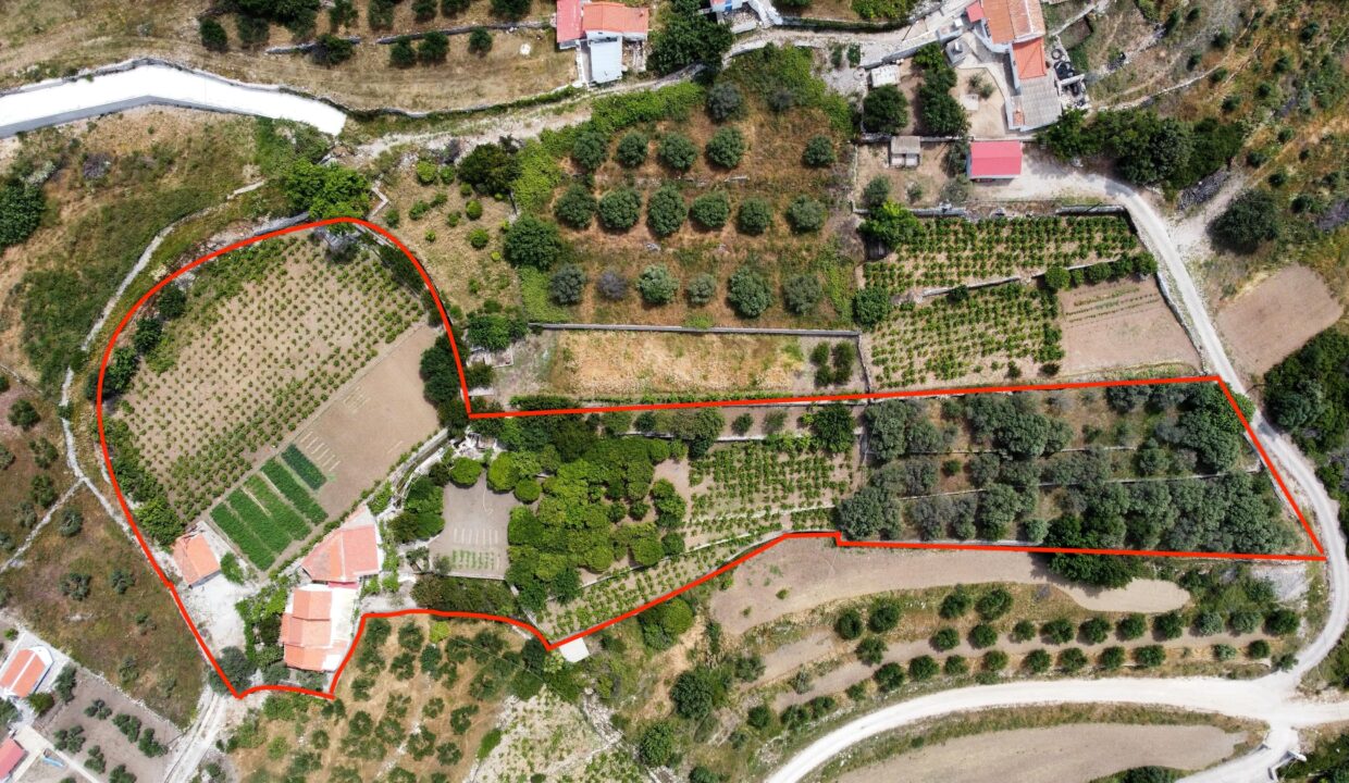 dji_fly_20250528_113024_669_1748421529424_photo_optimized copy-min