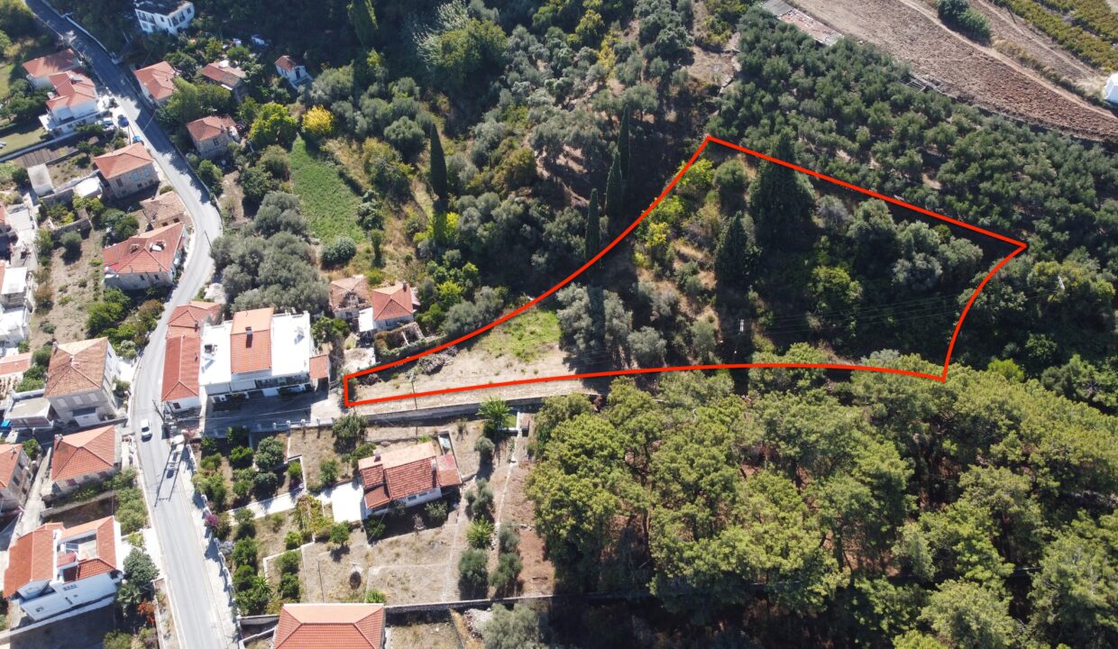 DCIM101MEDIADJI_0011.JPG