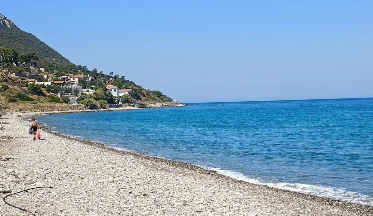 Πεταλιδες 1