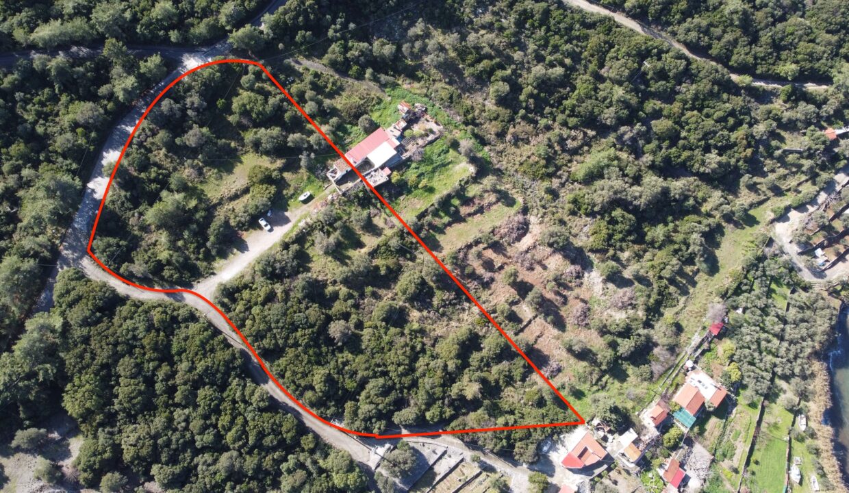 DJI_0172