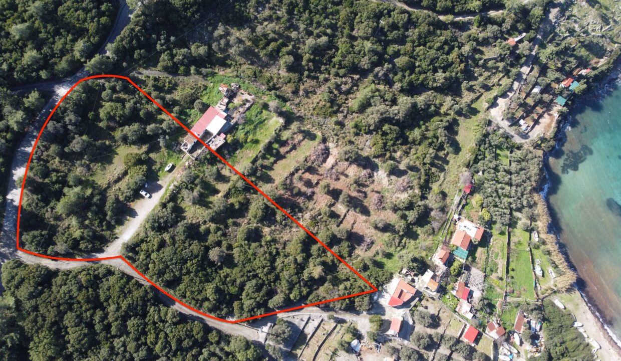 DJI_0173